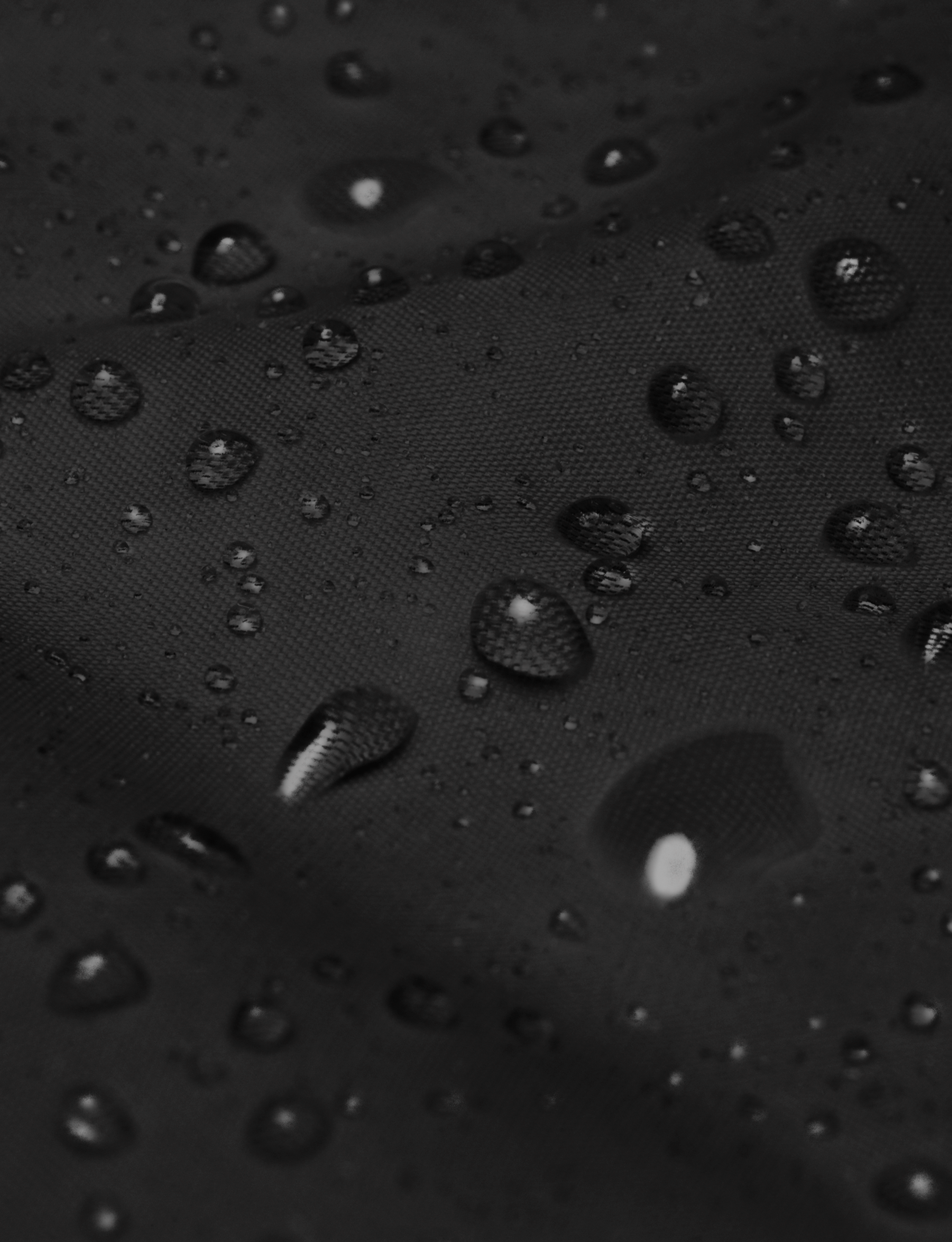 COUPE-VENT DE TECHOS